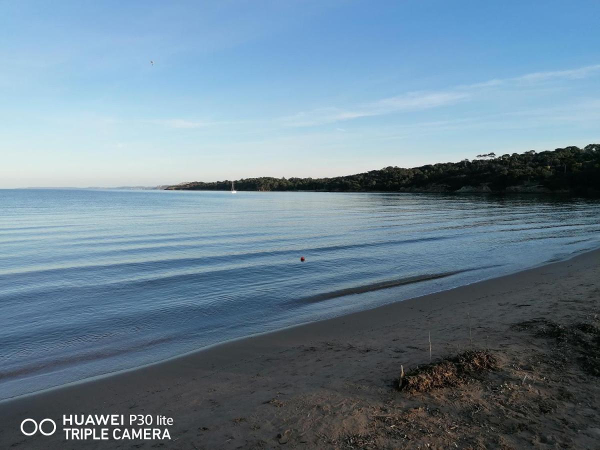 Beautiful Renovated Studio With View- Old Hyères Екстериор снимка